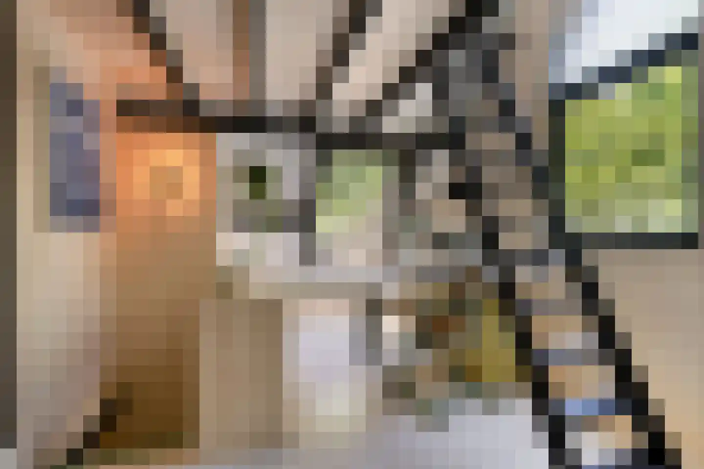 Schaijkseweg 18 Herpen thumbnail 6