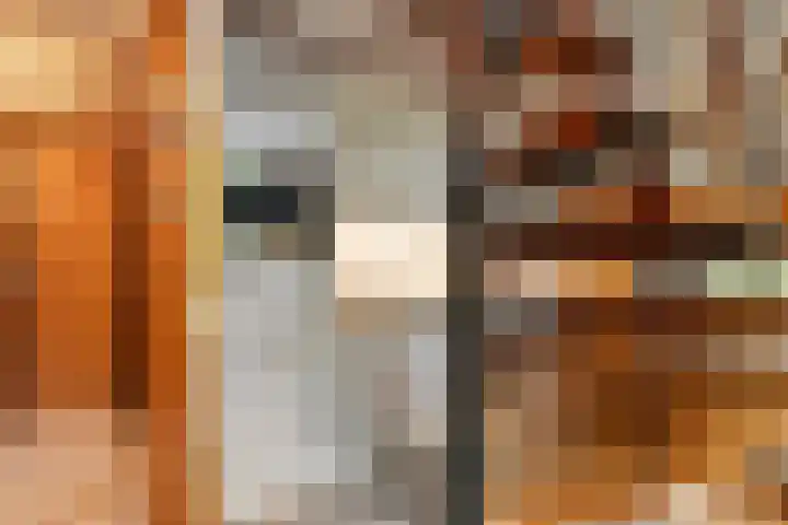 Schaijkseweg 2 Herpen thumbnail 10