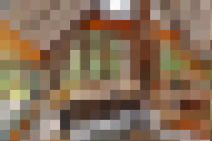 Schaijkseweg 2 Herpen thumbnail 11