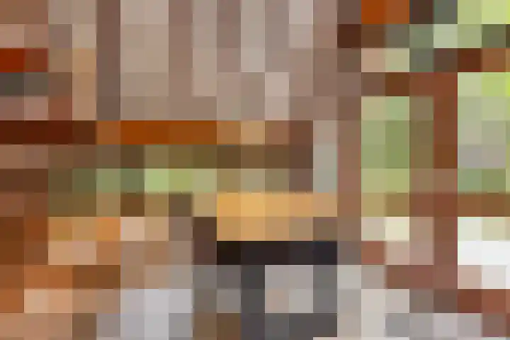 Schaijkseweg 2 Herpen thumbnail 12