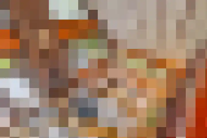 Schaijkseweg 2 Herpen thumbnail 13