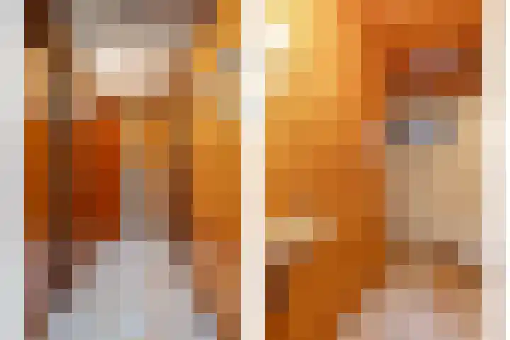 Schaijkseweg 2 Herpen thumbnail 14