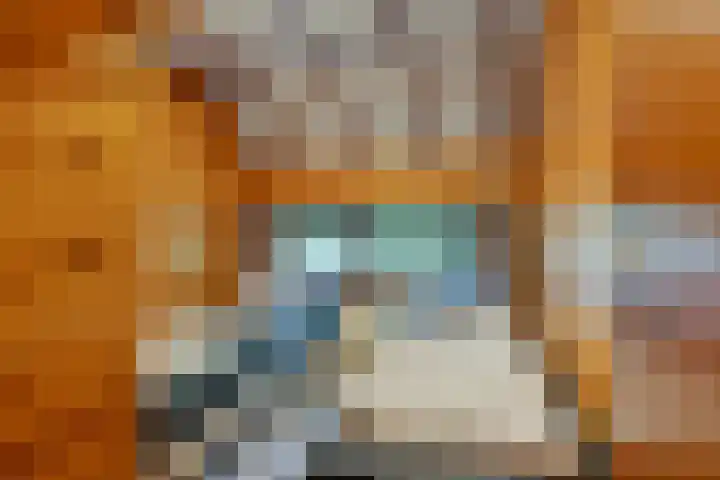 Schaijkseweg 2 Herpen thumbnail 17
