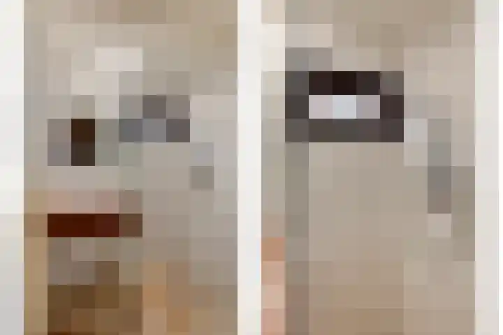 Schaijkseweg 2 Herpen thumbnail 18