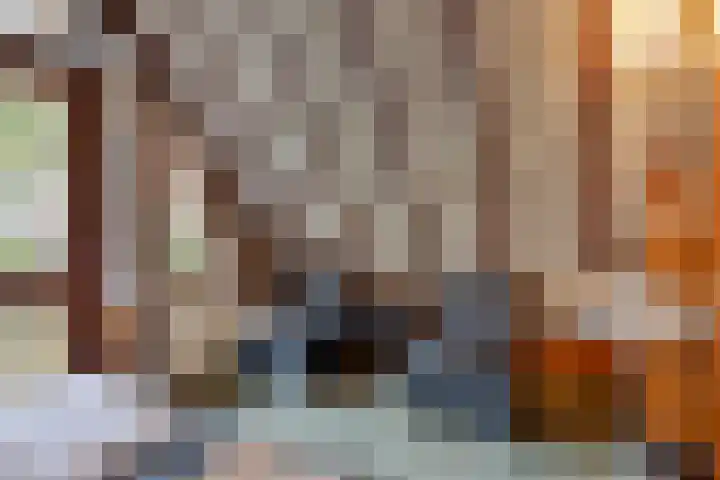 Schaijkseweg 2 Herpen thumbnail 23