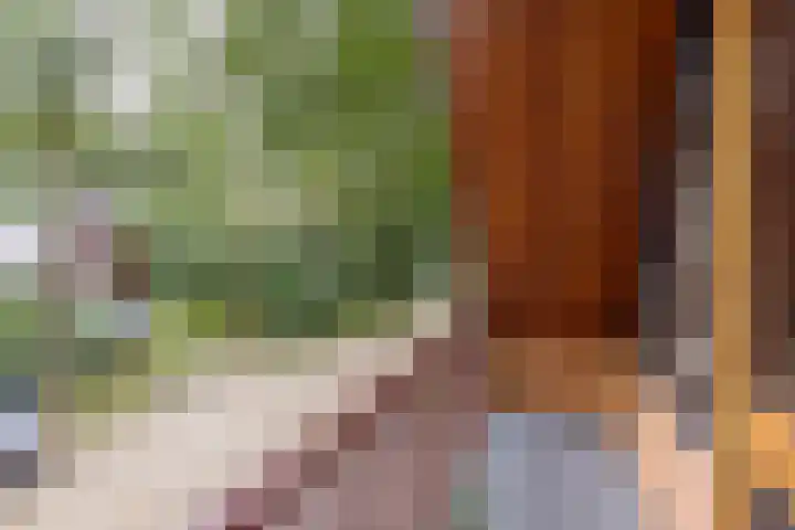 Schaijkseweg 2 Herpen thumbnail 24