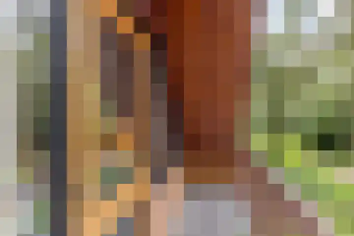 Schaijkseweg 2 Herpen thumbnail 25