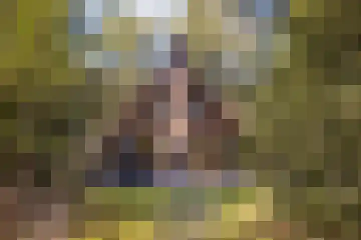 Schaijkseweg 2 Herpen thumbnail 27