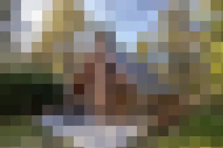 Schaijkseweg 2 Herpen thumbnail 28