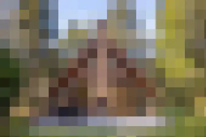 Schaijkseweg 2 Herpen thumbnail 29