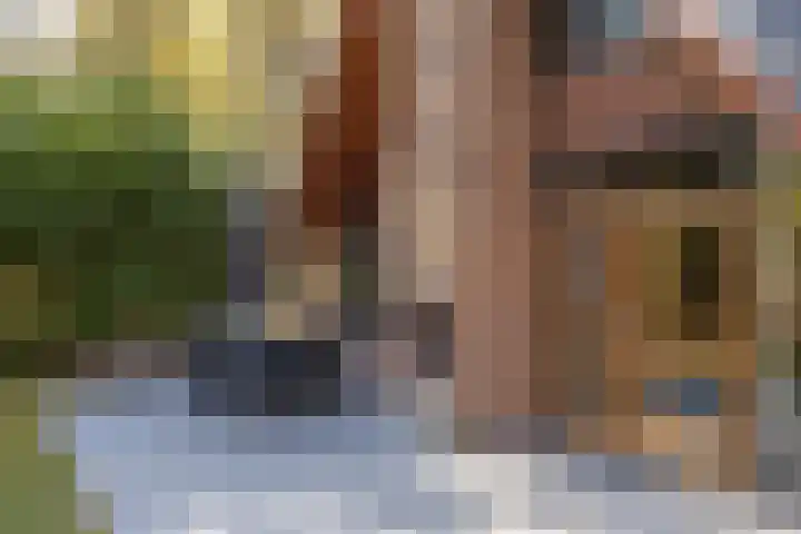 Schaijkseweg 2 Herpen thumbnail 30