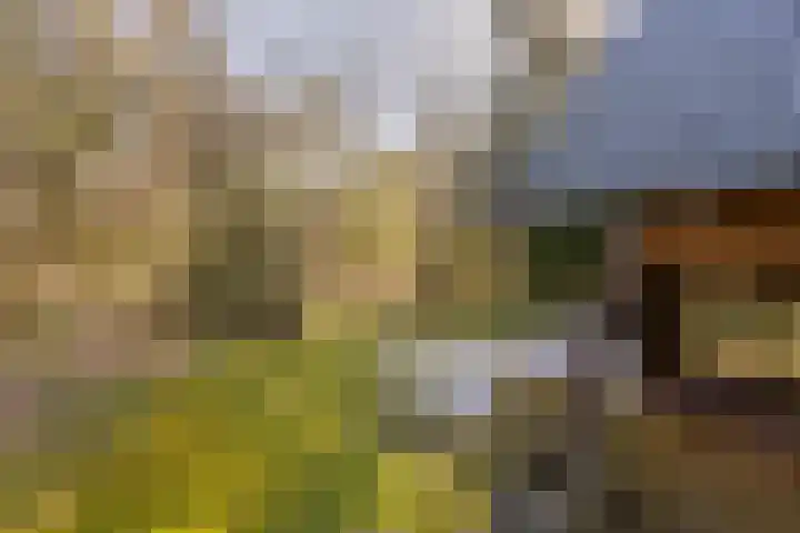 Schaijkseweg 2 Herpen thumbnail 32