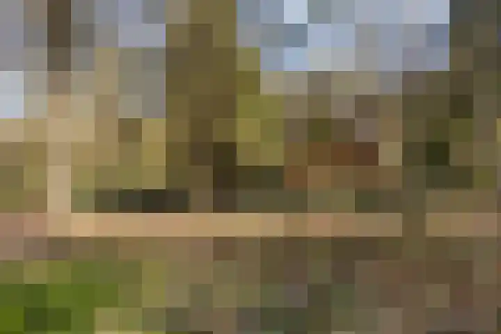 Schaijkseweg 2 Herpen thumbnail 34
