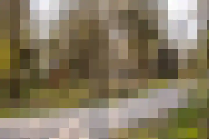 Schaijkseweg 2 Herpen thumbnail 35