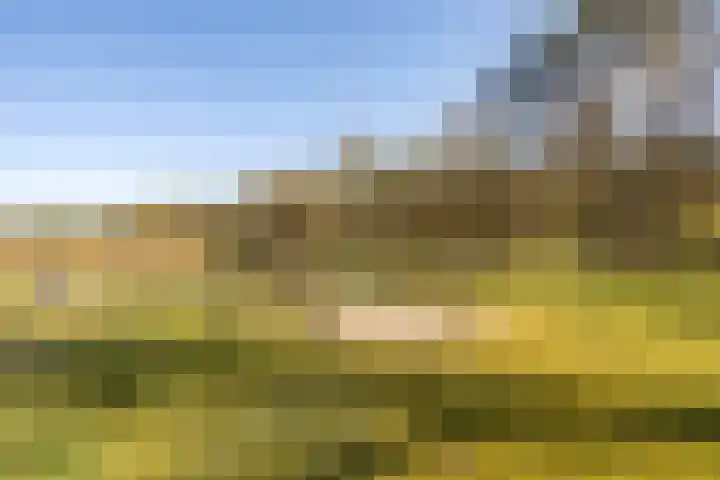 Schaijkseweg 2 Herpen thumbnail 36