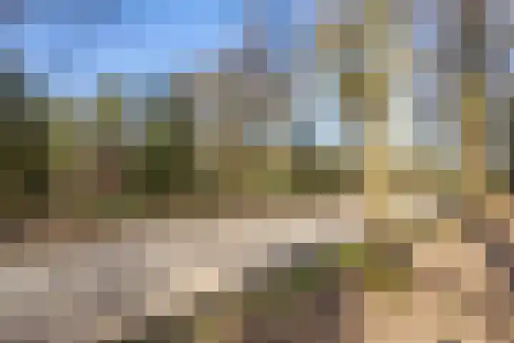 Schaijkseweg 2 Herpen thumbnail 37