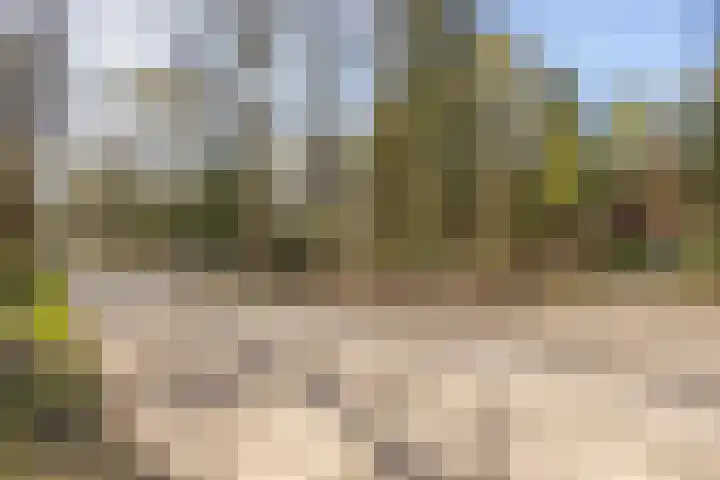 Schaijkseweg 2 Herpen thumbnail 38