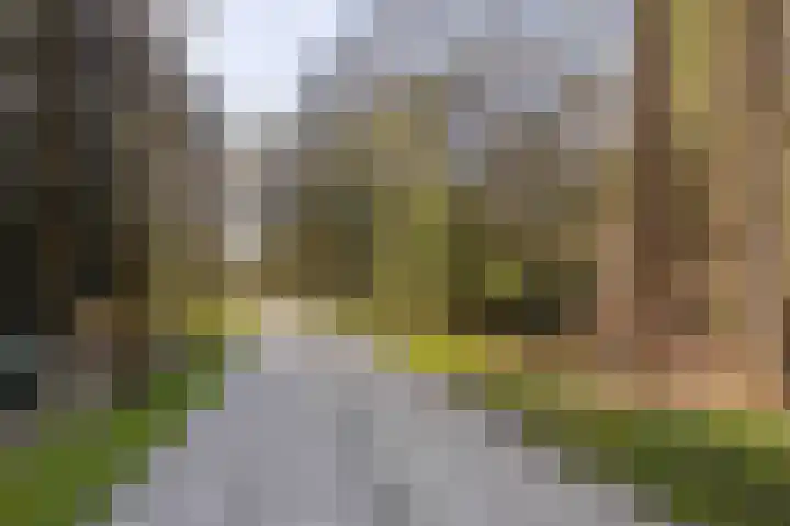 Schaijkseweg 2 Herpen thumbnail 39