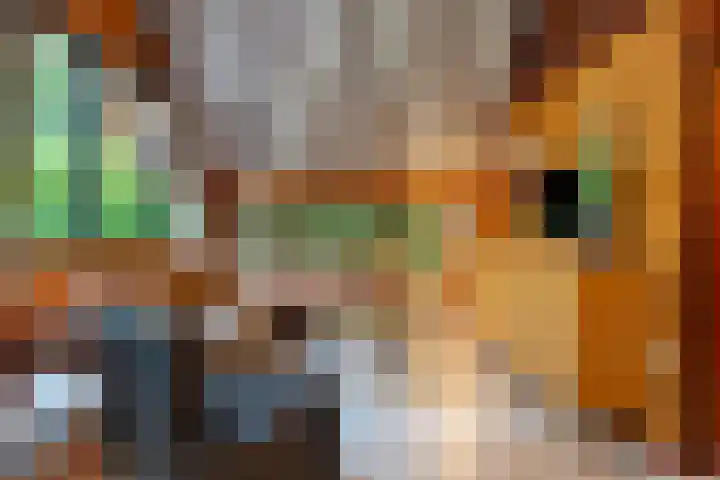 Schaijkseweg 2 Herpen thumbnail 4
