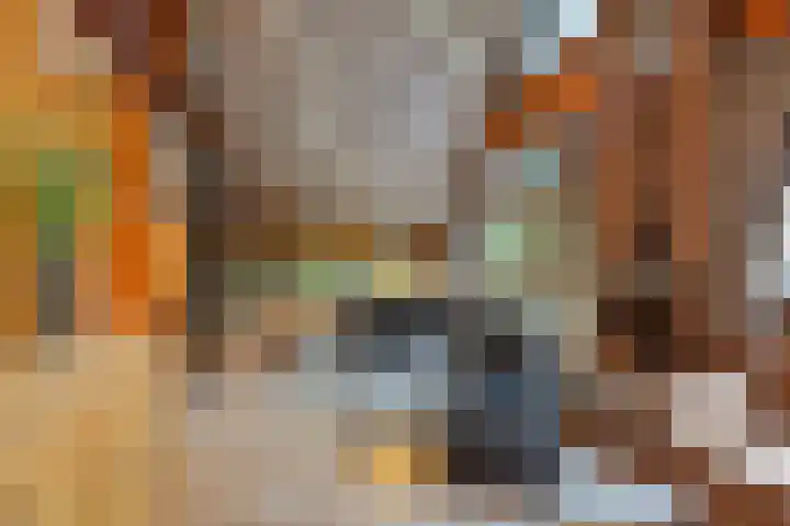 Schaijkseweg 2 Herpen thumbnail 5