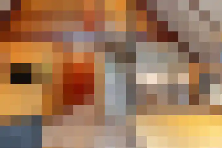 Schaijkseweg 2 Herpen thumbnail 8