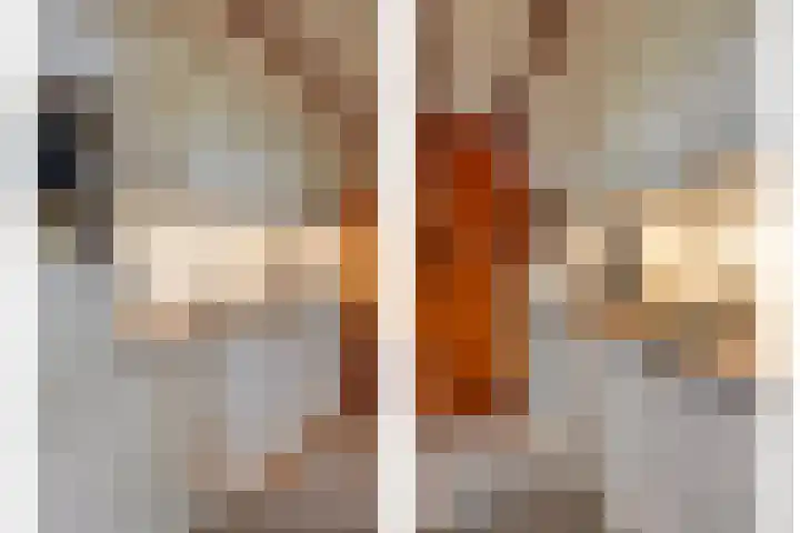 Schaijkseweg 2 Herpen thumbnail 9