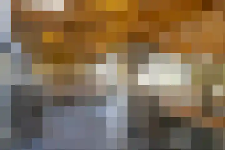 Schaijkseweg 60 Herpen thumbnail 10
