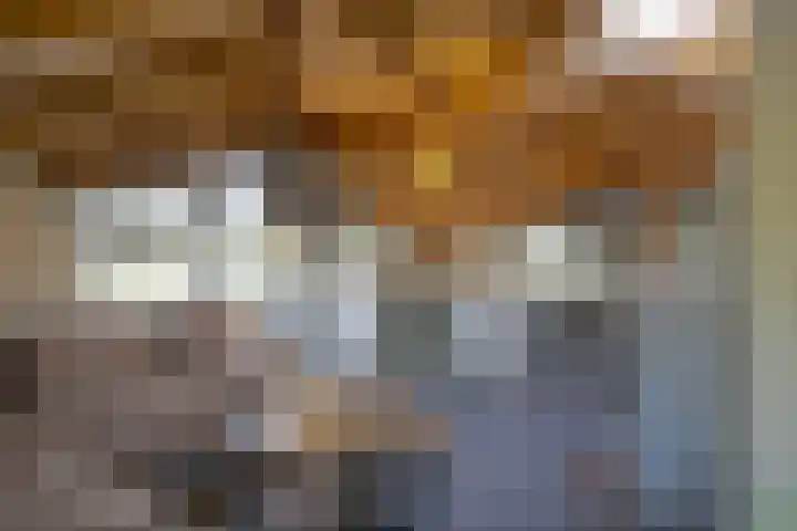 Schaijkseweg 60 Herpen thumbnail 12