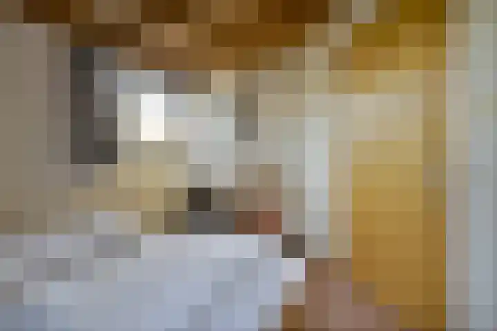 Schaijkseweg 60 Herpen thumbnail 17