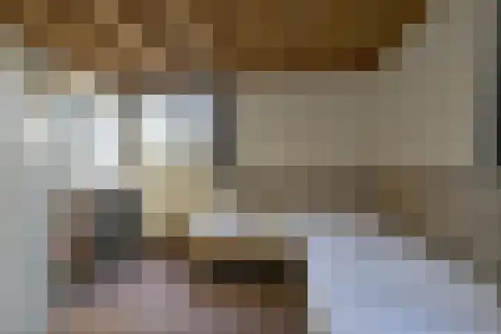 Schaijkseweg 60 Herpen thumbnail 18