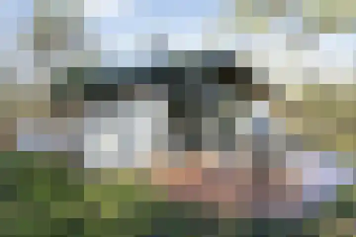 Schaijkseweg 60 Herpen thumbnail 24