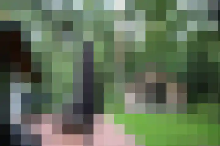 Schaijkseweg 60 Herpen thumbnail 26