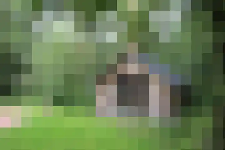 Schaijkseweg 60 Herpen thumbnail 27