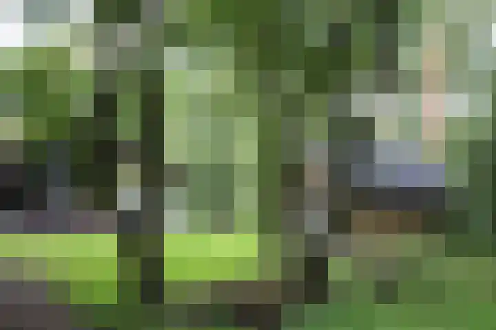 Schaijkseweg 60 Herpen thumbnail 28