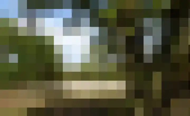 Schaijkseweg 60 Herpen thumbnail 31