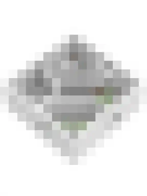 Schaijkseweg 60 Herpen thumbnail 39