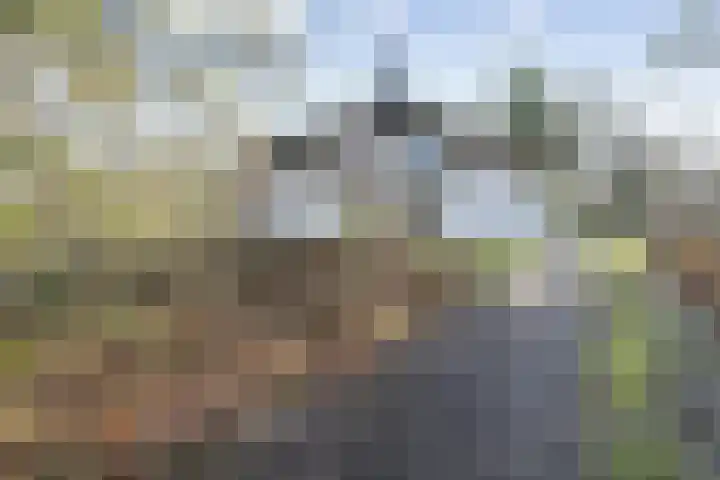 Schaijkseweg 60 Herpen thumbnail 4