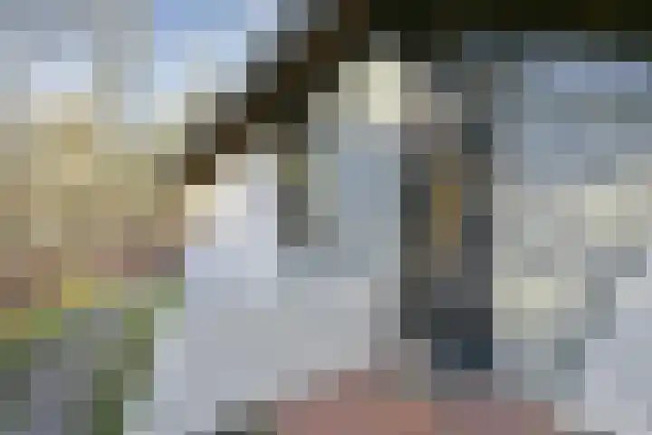 Schaijkseweg 60 Herpen thumbnail 5
