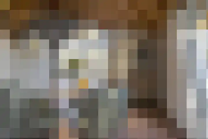 Schaijkseweg 60 Herpen thumbnail 6