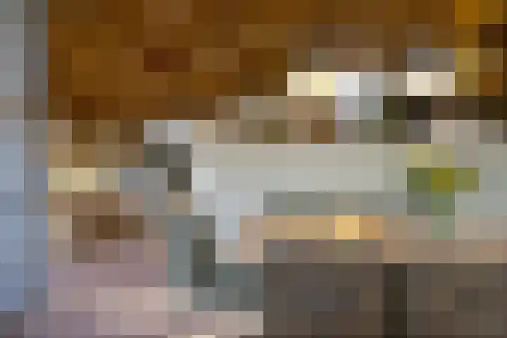 Schaijkseweg 60 Herpen thumbnail 7
