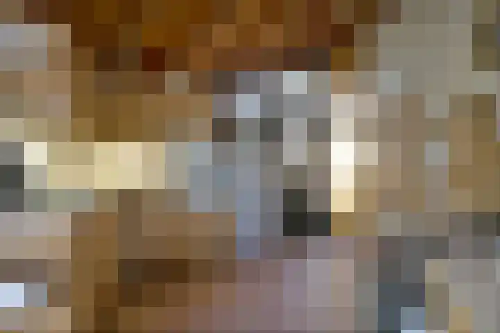 Schaijkseweg 60 Herpen thumbnail 8