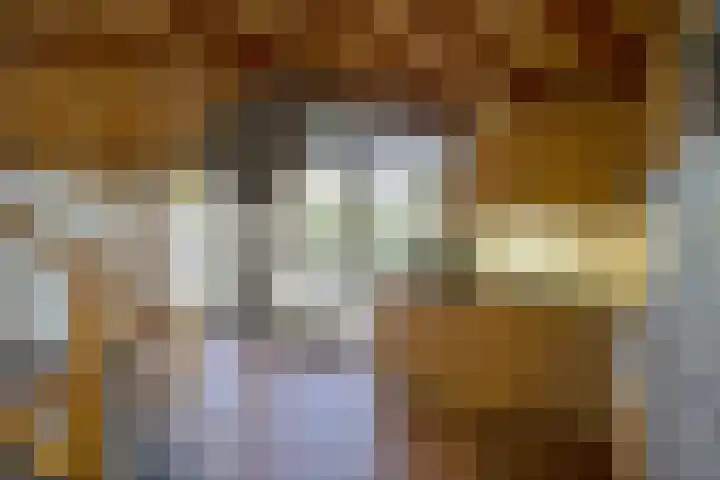 Schaijkseweg 60 Herpen thumbnail 9