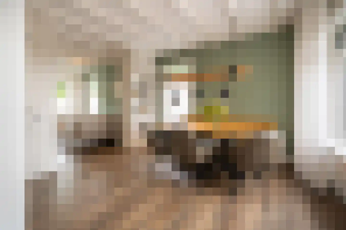 Schaikseweg 41 Leerdam thumbnail 4