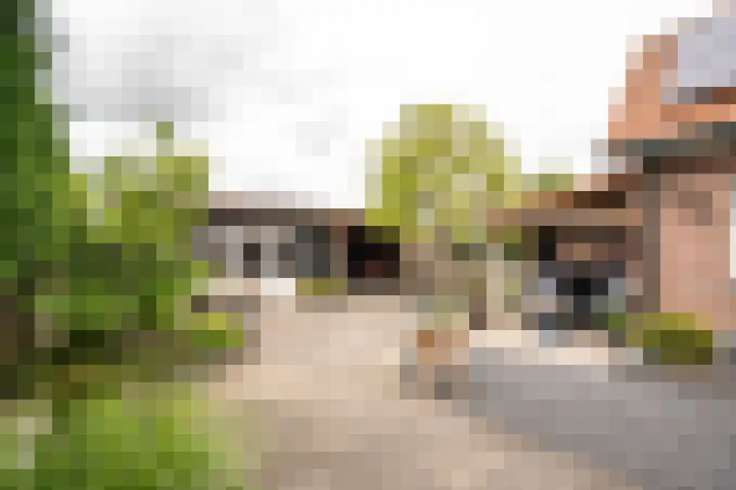 Schaikseweg 41 Leerdam thumbnail 43