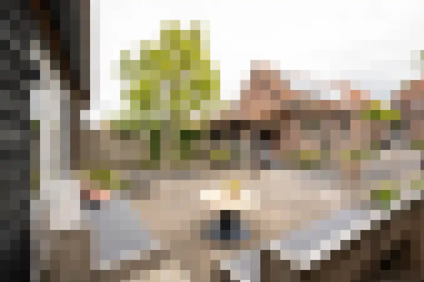 Schaikseweg 41 Leerdam thumbnail 47