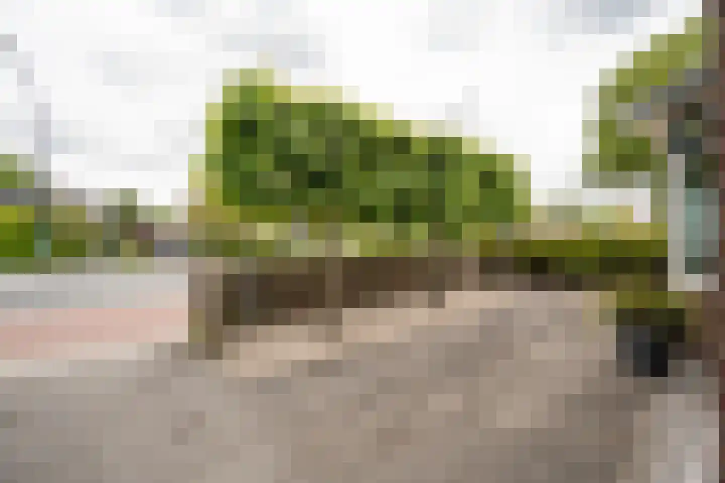 Schaikseweg 41 Leerdam thumbnail 54