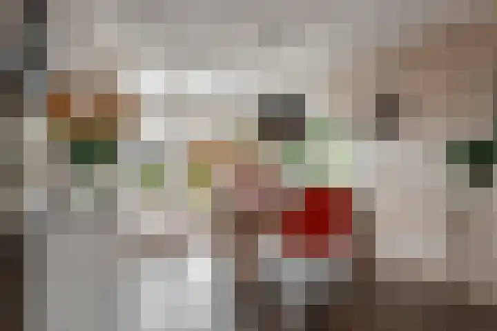 Schaikseweg 47 Leerdam thumbnail 8