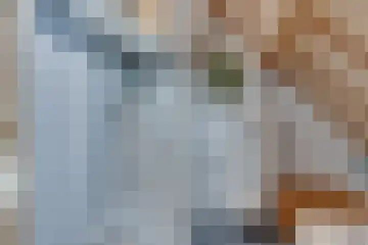 Schaikseweg 96 Leerdam thumbnail 110