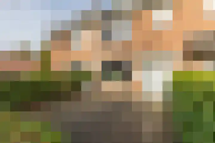 Schakel 116 Loosdrecht thumbnail 5