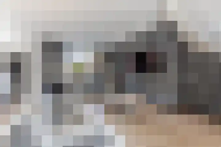 Schakel 116 Loosdrecht thumbnail 8